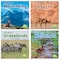 Little Pebble Habitats, 8 Book Series Set 9781515798156 - alternate 1